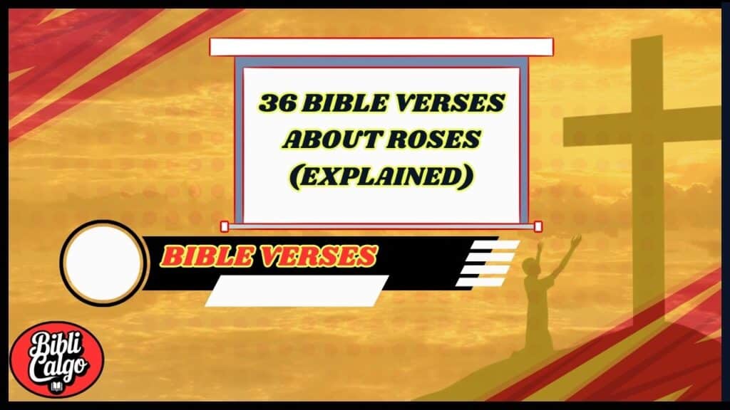 36 Bible Verses About Roses (Explained)