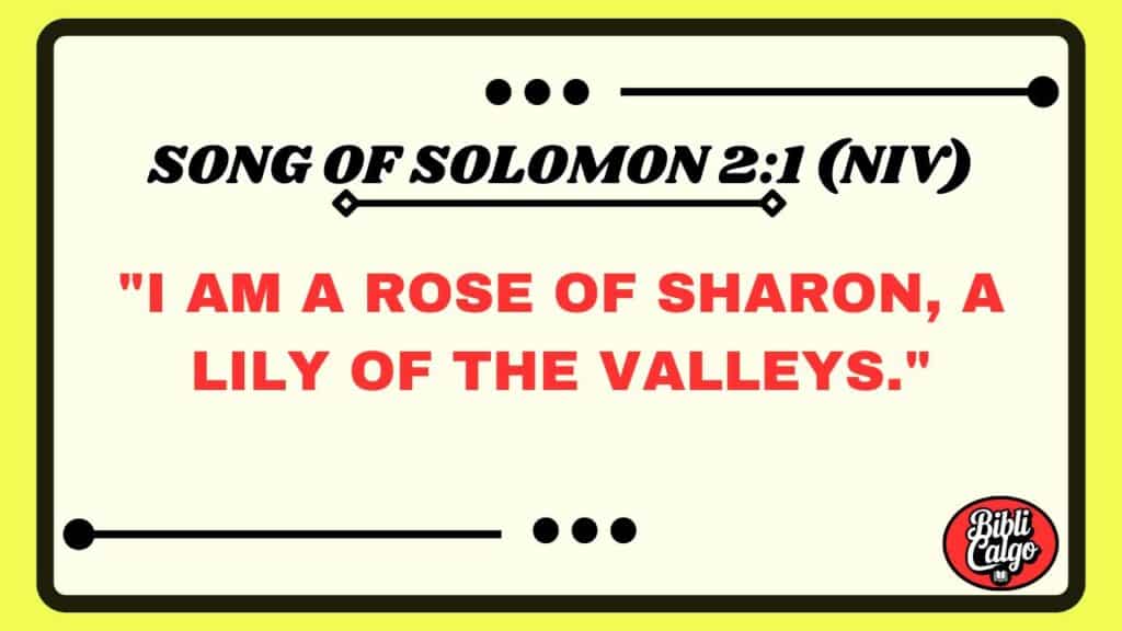 Song of Solomon 2:1 (NIV)