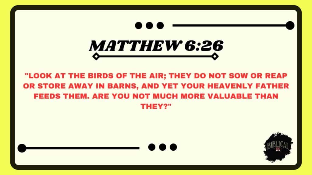 Matthew 6:26