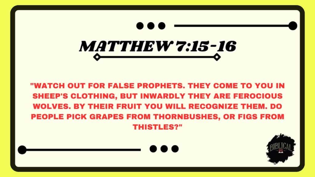Matthew 7:15-16