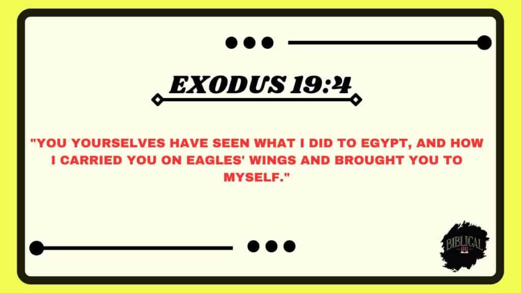 Exodus 19:4