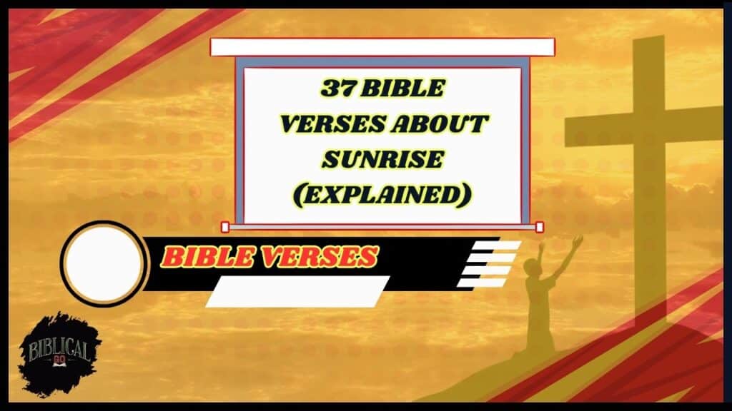 37 Bible Verses About Sunrise (Explained)