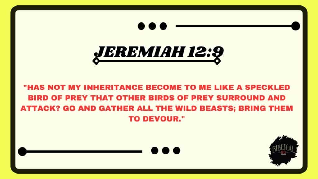 Jeremiah 12:9