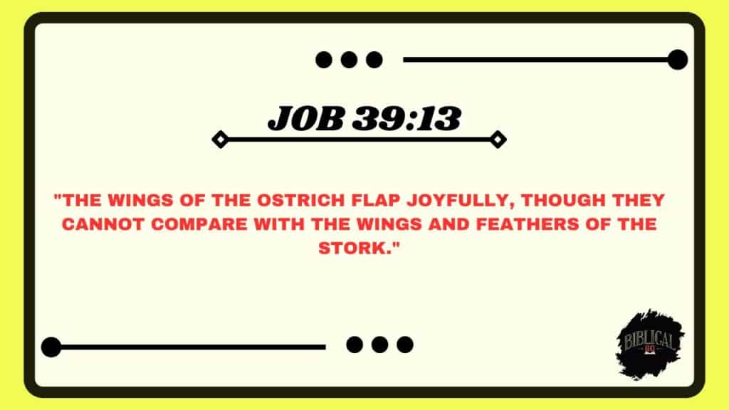 Job 39:13
