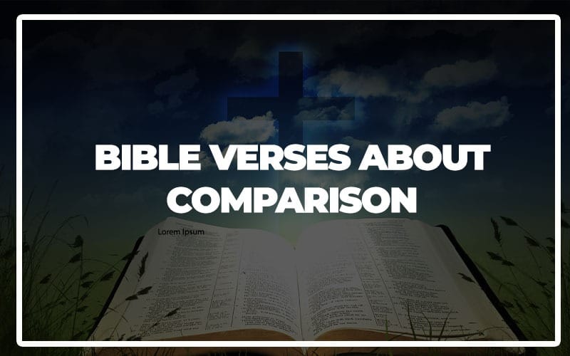 Comparison