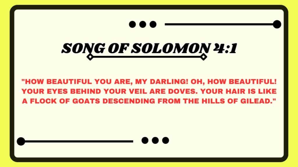 Song of Solomon 4:1